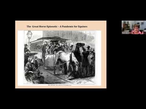 The Great Boston Fire with Stephanie Schorow