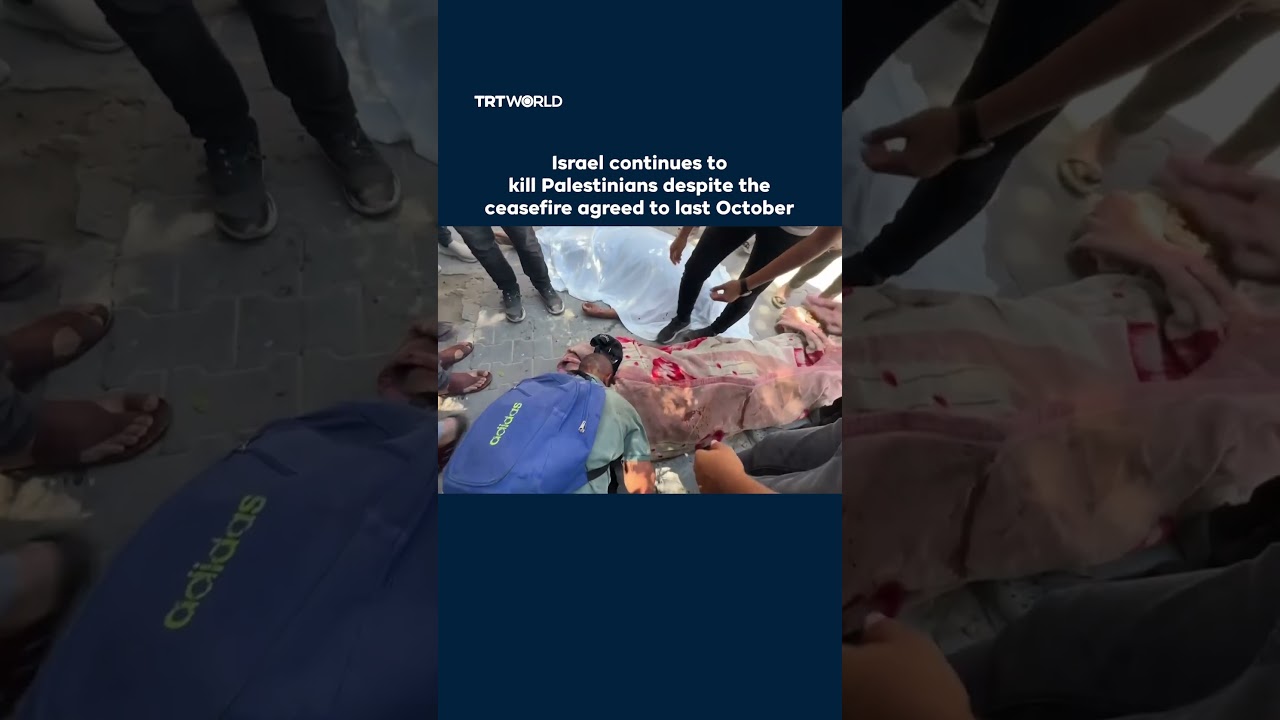 Israeli airstrikes kill eight Palestinians in Gaza despite October ceasefire agreement