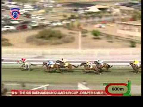 Ashanti Gold (305) - M.Neisius