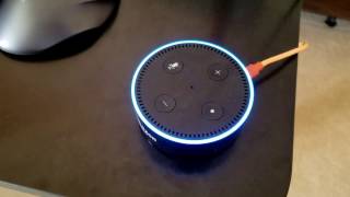 I asked Alexa if it was cold outside, you won't believe what she said. 😲