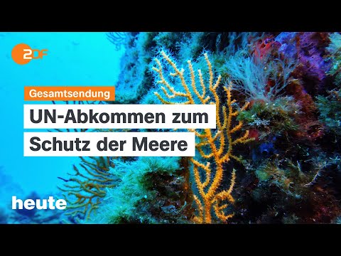 heute 19:00 Uhr vom 17.01.2026 Proteste gegen Trump, Mercosur-Vertrag, Merz kritisiert Krankenstand