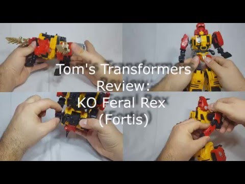 KO Oversized Fortis (MMC Feral Rex) Review