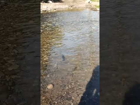 El arroyo de Monte Bello #tucuman #aguilares #naturaleza