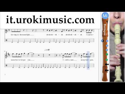 Lezioni di Flauto Dolce B. Shakira Can't Remember to Forget You Parte#2 Melodia Tutorial Spartito