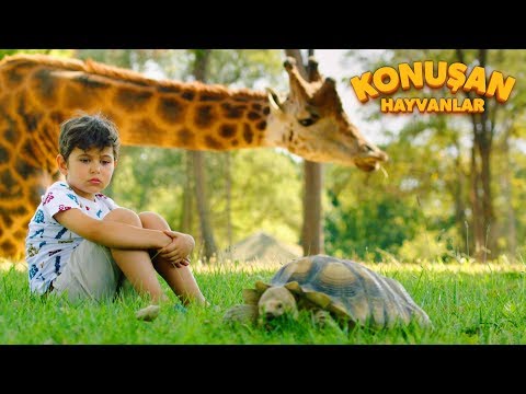 Konuşan Hayvanlar - Sinema