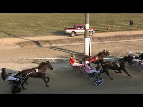 Trka "Pehar Somborskih Novina" 14.08.2021 Charisma Spritz - Vladimir Pribić