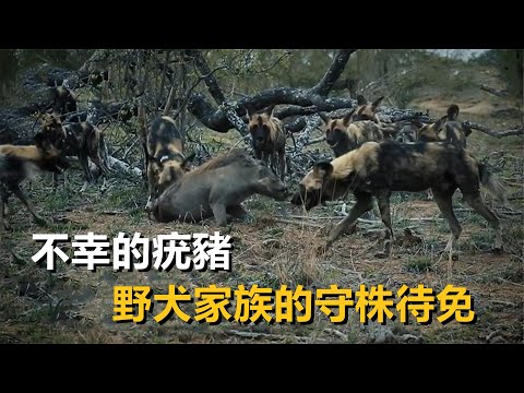 守水塘 意思