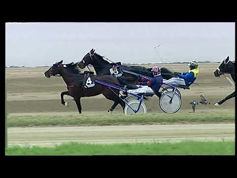 Napoli Trotto 16/04/2021 - 4ª corsa