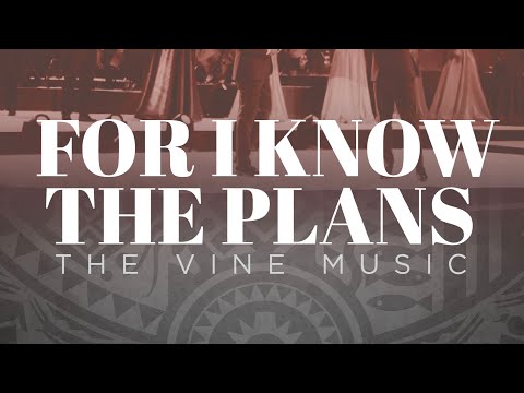 The Vine - I know the plans