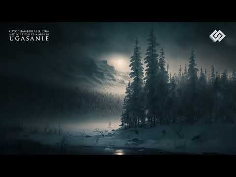 Mystical Winters Far up North // Dark Polar Ambient Mix