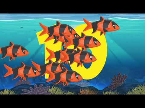 Counting with Fish to 10   Learn Numbers & Counting for Kids with Fish   Count 1 to 10