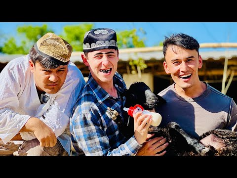 For those who raised prices during Eid al-Adha!