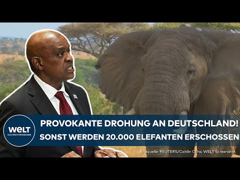 Video Thumbnail: BOTSWANA: Elefanten-Plage! Provokanter Hilferuf an Deutschland! Regierung will 20.000 Tiere töten