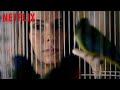 BIRD BOX Official Trailer HD Netflix
