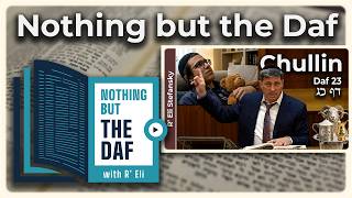 CHAZARAH - Chullin Daf 23 | "Nothing but the Daf" with R' Eli Stefansky