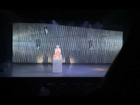 Notre-Dame de Paris - Ali in gabbia, occhi selvaggi 14.05.22