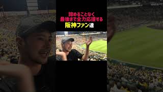 最後まで全力応援#阪神タイガース#阪神ファン#shorts