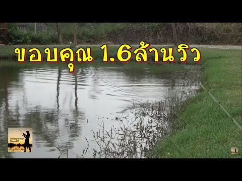 ผู้หญิงตื่นเต้นกว่าสิ่งที่เธอต้องการอยากให้คุณ สิวขนาดเล็กบนผิวของสมาชิกคนหนึ่งของสีขาว