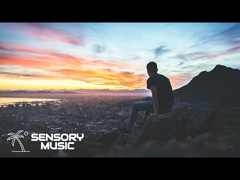 Provi, Pierre Leck, Hadar Sopher - You Should Know