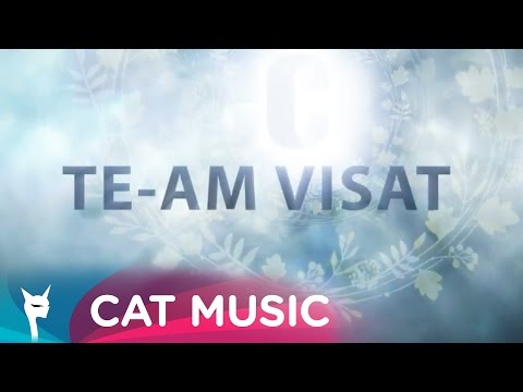 directia 5 - Te-am visat (Lyric Video)