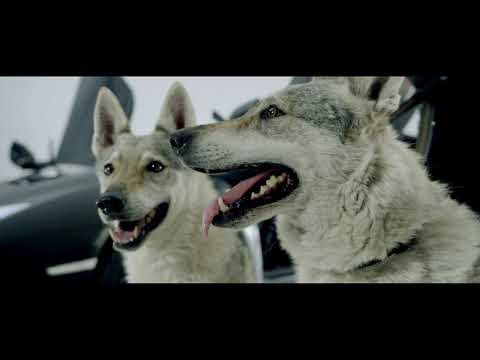 Massaka & Monstar361 - ANDERE LIGA (OFFICIAL HD)prod.Dhaone