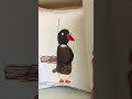 043 Pingu The Babysitter