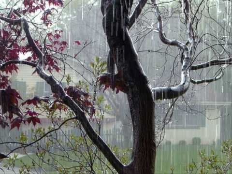 Video thumbnail for Raindrops