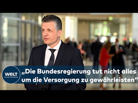 STREIT IN DER AMPEL-KOALITION: "Diese Art des Umgangs ist nicht gut für unser Land" I WELT Interview