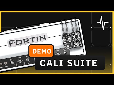 Fortin Cali Suite Demo | Presets in the Description