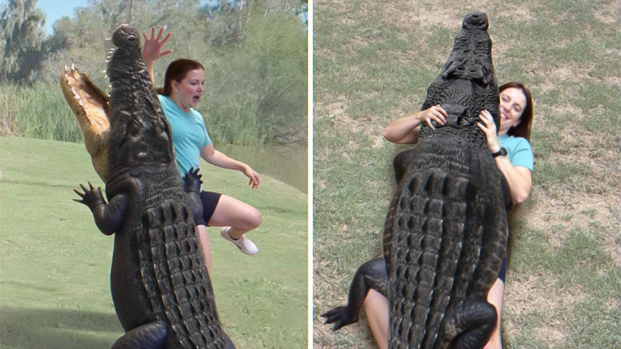 25 Times When Animals Reunited With Owners After Years And Said  "I Love You" in a Special Way !