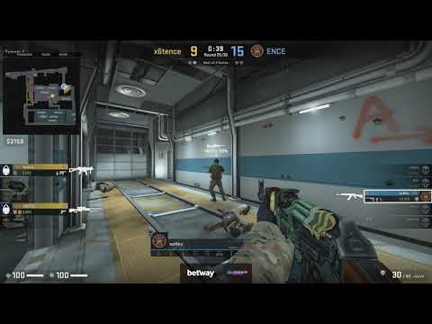 suNny insane trigger discipline