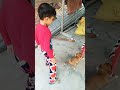 Small Puppy Main Tujhko Bhaga Laya Hun Tere Ghar Se