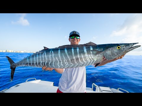 Most PRIZED Deep Sea Fish! Catch Clean Cook Wahoo