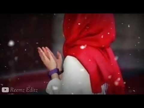 Engum Nirainthoney Song 🌙WhatsApp Status | Nagore Hanifa Song💫❣ | Female Version