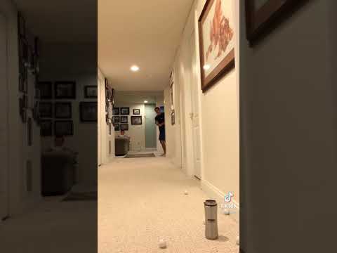 TikTok 海外での奇跡のチャレンジ