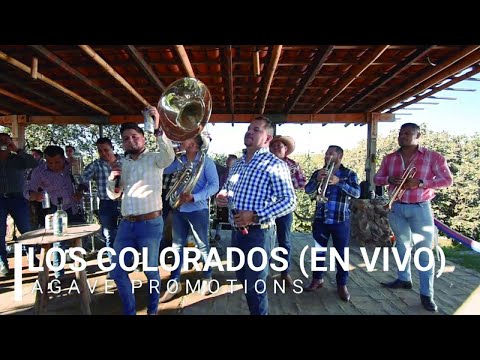 @LaImponente - Los colorados (Musical - En Vivo)