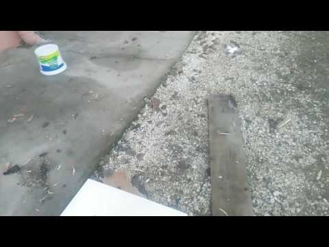 Evimizin bahçesinde yarasa bulduk!!!