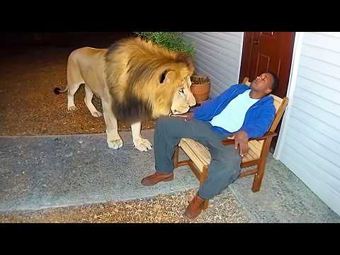 CUANDO LOS ANIMALES ELIGEN A SUS DUEÑOS. LOS VÍDEOS MÁS DIVERTIDOS DE 2025