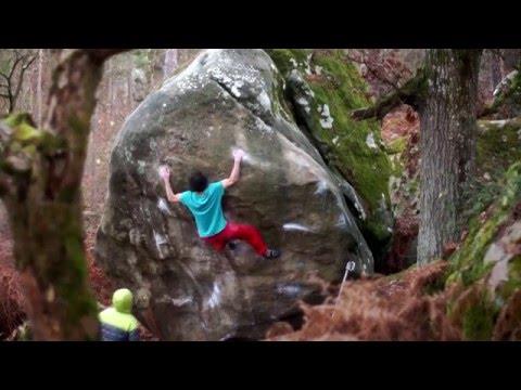 Fontainebleau - Ubik, Amok, Gecko