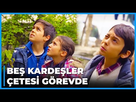 Memo ve Arkadaşları Kaçakçıların Peşinde - İkizler Memo-Can 23. Bölüm