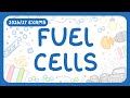 GCSE Chemistry Fuel Cells Structure How They Work Half Equations Pros Cons