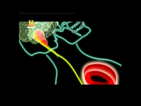 Dolore allarticolazione pelvica in gravidanza La terapia esercizio per vertebra toracica