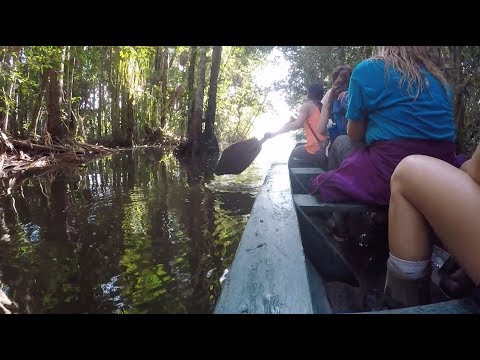 Emma Buckley ISA Cusco: The Jungle