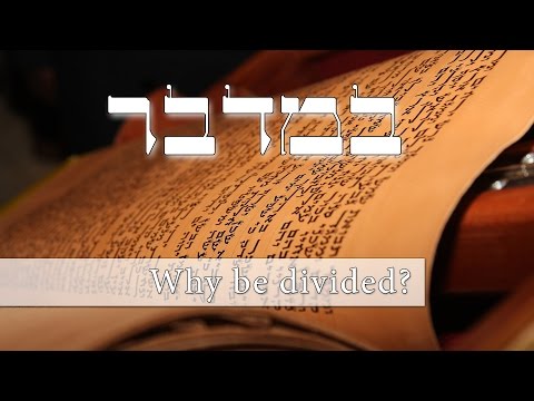 Parashat Bamidbar - Why are Jews divided? - Rabbi Alon Anava
