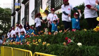 Festa da Flor Cortejo Infantil “Muro da Esperança” 2015