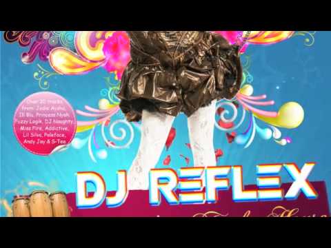 The Mike Delinquent Project - Dancehall