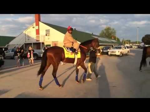 Wicked Strong on Derby Day