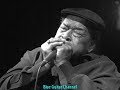 James Cotton - 23 Hours Too Long || Blue Guitar Channel