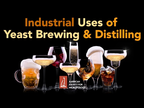 Industrial Uses of Yeast Brewing and Distilling - Graham Stewart, PhD