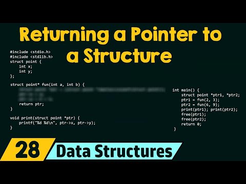 Structures and Functions Part 5